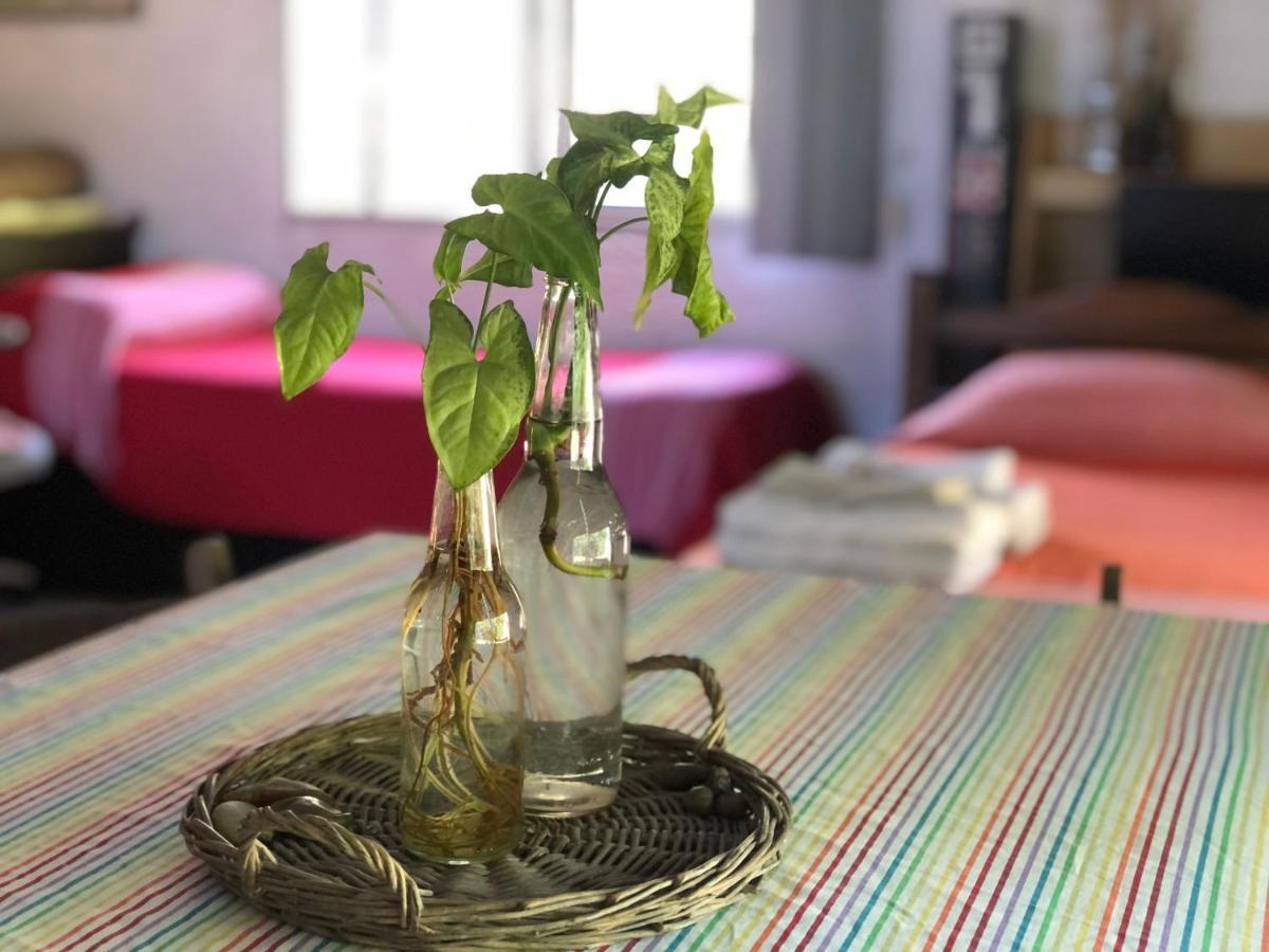 萨尔托 Casita Del Parque酒店 外观 照片